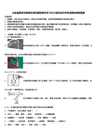 山东省泰安市肥城市湖屯镇初级中学2024届毕业升学考试模拟卷物理卷含解析.doc