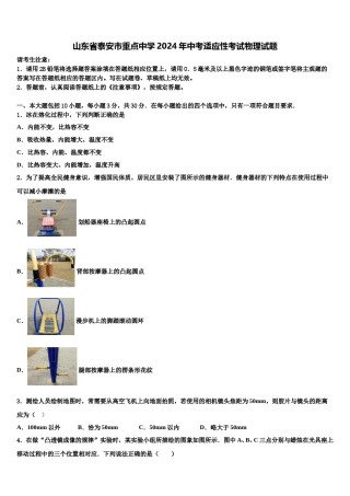 山东省泰安市重点中学2024年中考适应性考试物理试题含解析.doc