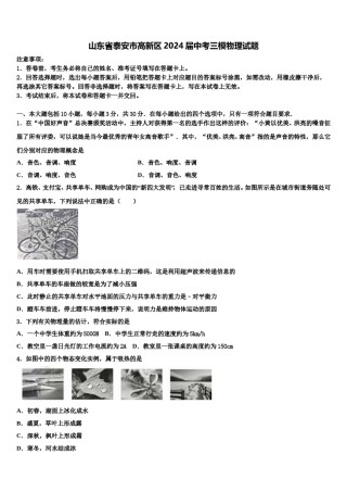 山东省泰安市高新区2024届中考三模物理试题含解析.doc