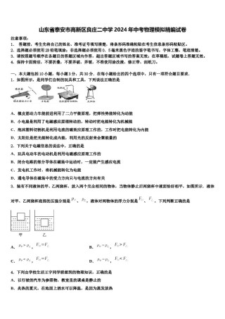 山东省泰安市高新区良庄二中学2024年中考物理模拟精编试卷含解析.doc