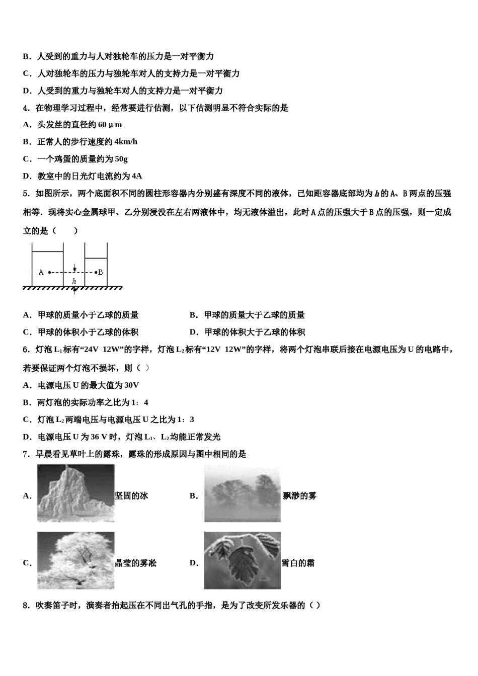 山东省济南实验市级名校2024届中考物理全真模拟试卷含解析.doc_第2页