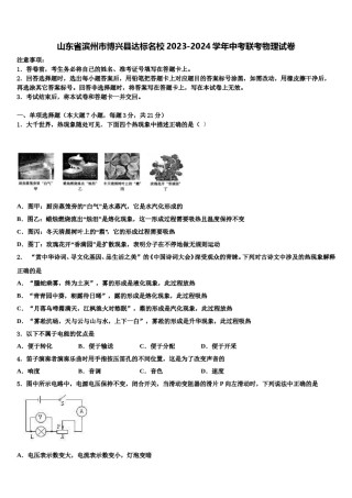 山东省滨州市博兴县达标名校2023-2024学年中考联考物理试卷含解析.doc