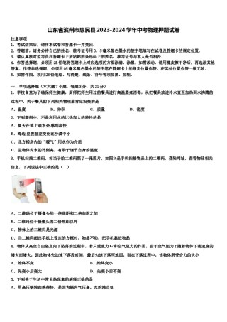 山东省滨州市惠民县2023-2024学年中考物理押题试卷含解析.doc