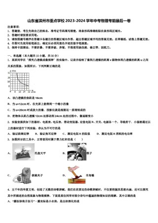 山东省滨州市重点学校2023-2024学年中考物理考前最后一卷含解析.doc