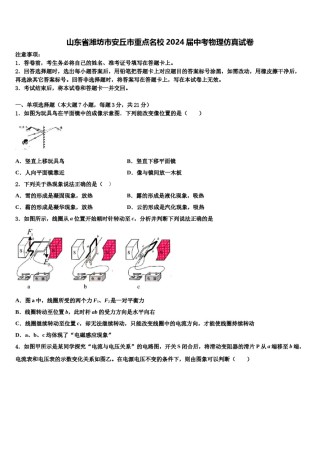 山东省潍坊市安丘市重点名校2024届中考物理仿真试卷含解析.doc