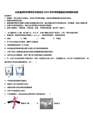 山东省潍坊市寒亭区市级名校2024年中考物理最后冲刺模拟试卷含解析.doc