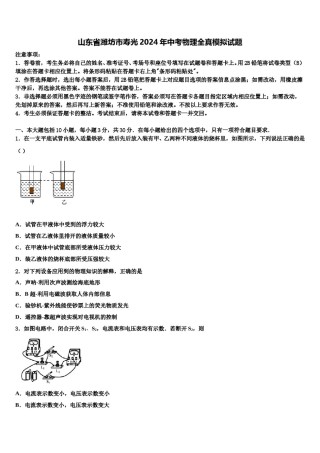 山东省潍坊市寿光2024年中考物理全真模拟试题含解析.doc
