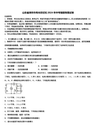山东省潍坊市寿光世纪校2024年中考猜题物理试卷含解析.doc
