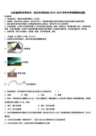 山东省潍坊市寿光市、安丘市市级名校2023-2024学年中考物理模拟试题含解析.doc
