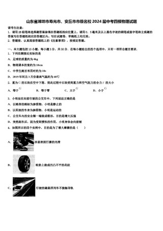 山东省潍坊市寿光市、安丘市市级名校2024届中考四模物理试题含解析.doc