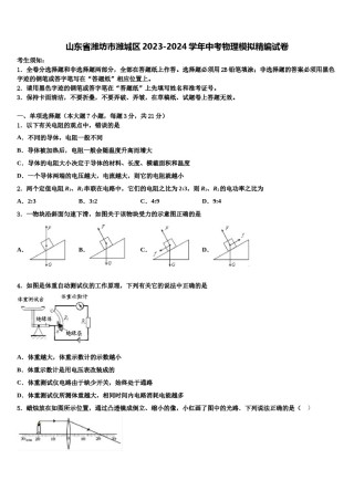 山东省潍坊市潍城区2023-2024学年中考物理模拟精编试卷含解析.doc
