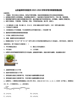 山东省潍坊市高密市2023-2024学年中考冲刺卷物理试题含解析.doc