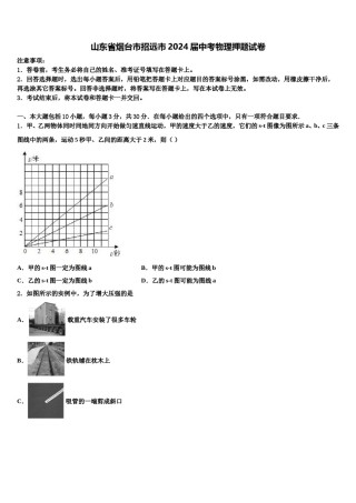 山东省烟台市招远市2024届中考物理押题试卷含解析.doc