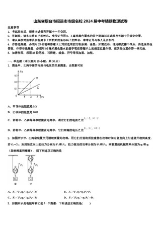 山东省烟台市招远市市级名校2024届中考猜题物理试卷含解析.doc