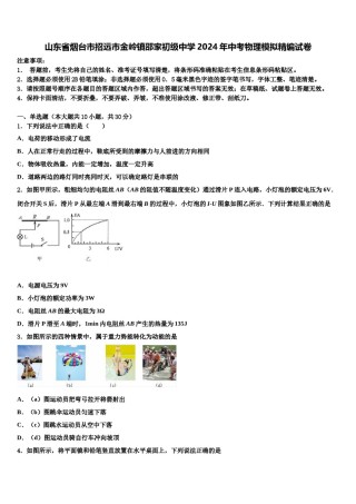 山东省烟台市招远市金岭镇邵家初级中学2024年中考物理模拟精编试卷含解析.doc