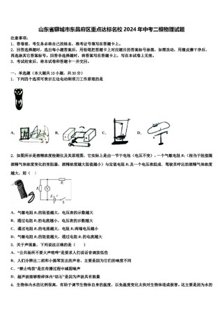 山东省聊城市东昌府区重点达标名校2024年中考二模物理试题含解析.doc