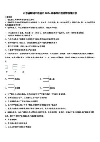 山东省聊城市临清市2024年中考试题猜想物理试卷含解析.doc