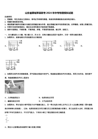 山东省聊城莘县联考2024年中考物理模拟试题含解析.doc