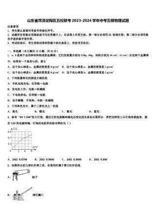 山东省菏泽定陶区五校联考2023-2024学年中考五模物理试题含解析.doc