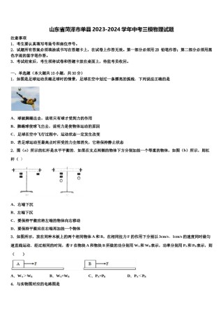 山东省菏泽市单县2023-2024学年中考三模物理试题含解析.doc