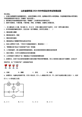 山东省蒙阴县2024年中考适应性考试物理试题含解析.doc