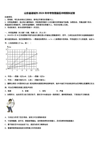 山东省诸城市2024年中考物理最后冲刺模拟试卷含解析.doc