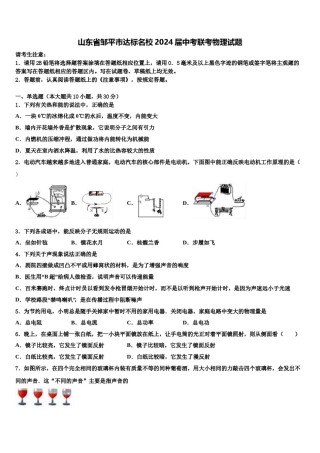 山东省邹平市达标名校2024届中考联考物理试题含解析.doc