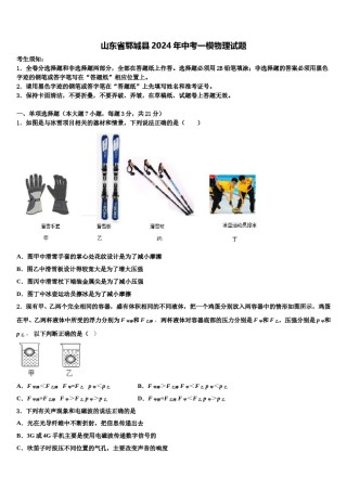 山东省郓城县2024年中考一模物理试题含解析.doc