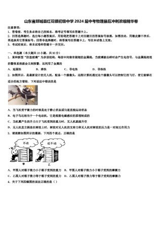 山东省郯城县红花镇初级中学2024届中考物理最后冲刺浓缩精华卷含解析.doc