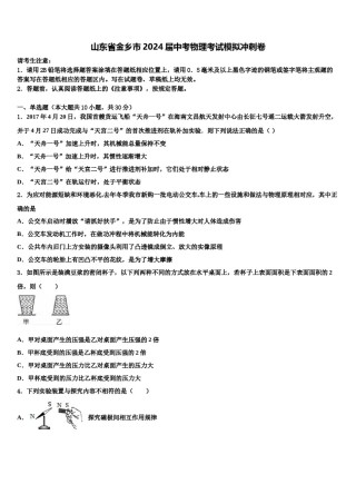 山东省金乡市2024届中考物理考试模拟冲刺卷含解析.doc