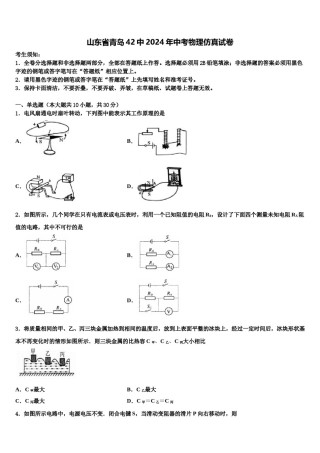 山东省青岛42中2024年中考物理仿真试卷含解析.doc