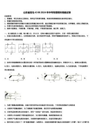 山东省青岛43中2024年中考物理模拟精编试卷含解析.doc