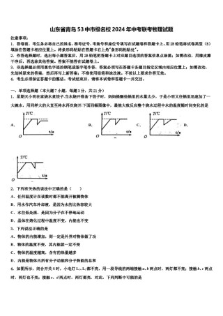山东省青岛53中市级名校2024年中考联考物理试题含解析.doc
