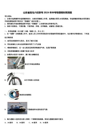 山东省青岛六校联考2024年中考物理模拟预测题含解析.doc