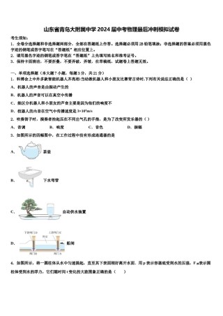 山东省青岛大附属中学2024届中考物理最后冲刺模拟试卷含解析.doc