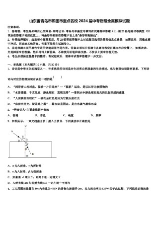 山东省青岛市即墨市重点名校2024届中考物理全真模拟试题含解析.doc