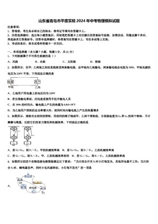 山东省青岛市平度实验2024年中考物理模拟试题含解析.doc