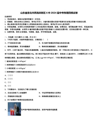 山东省青岛市西海岸新区6中2024届中考物理四模试卷含解析.doc