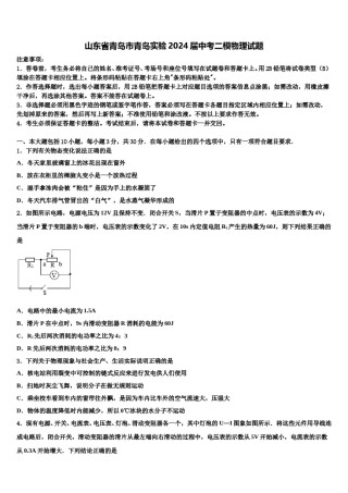 山东省青岛市青岛实验2024届中考二模物理试题含解析.doc