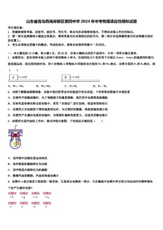 山东省青岛西海岸新区第四中学2024年中考物理适应性模拟试题含解析.doc