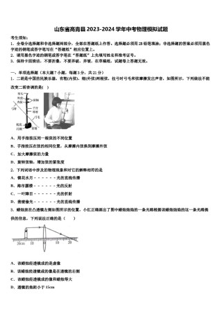山东省高青县2023-2024学年中考物理模拟试题含解析.doc