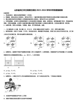 山东省龙口市兰高镇兰高校2023-2024学年中考物理猜题卷含解析.doc