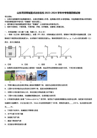 山东菏泽郓城重点达标名校2023-2024学年中考物理四模试卷含解析.doc