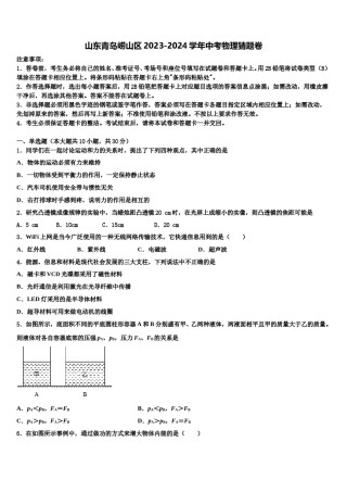 山东青岛崂山区2023-2024学年中考物理猜题卷含解析.doc