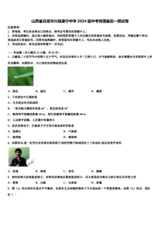 山西省吕梁市兴县康宁中学2024届中考物理最后一模试卷含解析.doc