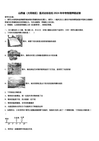 山西省（大同地区）重点达标名校2024年中考物理押题试卷含解析.doc