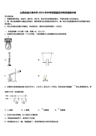 山西运城大禹中学2024年中考物理最后冲刺浓缩精华卷含解析.doc