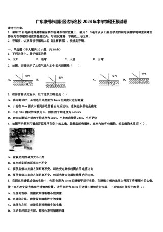 广东惠州市惠阳区达标名校2024年中考物理五模试卷含解析.doc