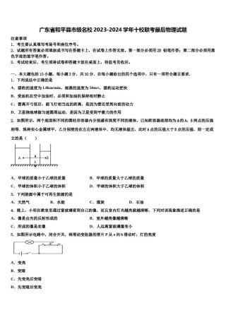 广东省和平县市级名校2023-2024学年十校联考最后物理试题含解析.doc
