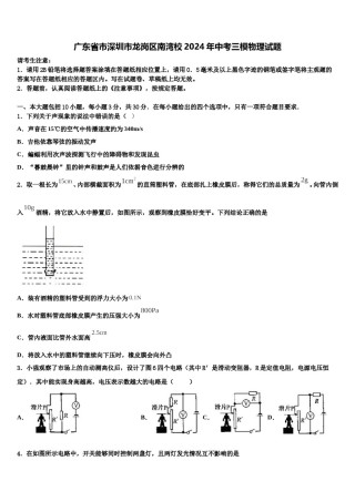 广东省市深圳市龙岗区南湾校2024年中考三模物理试题含解析.doc